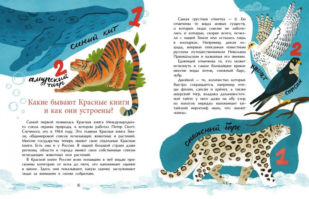 Что такое Красная книга фото книги 4