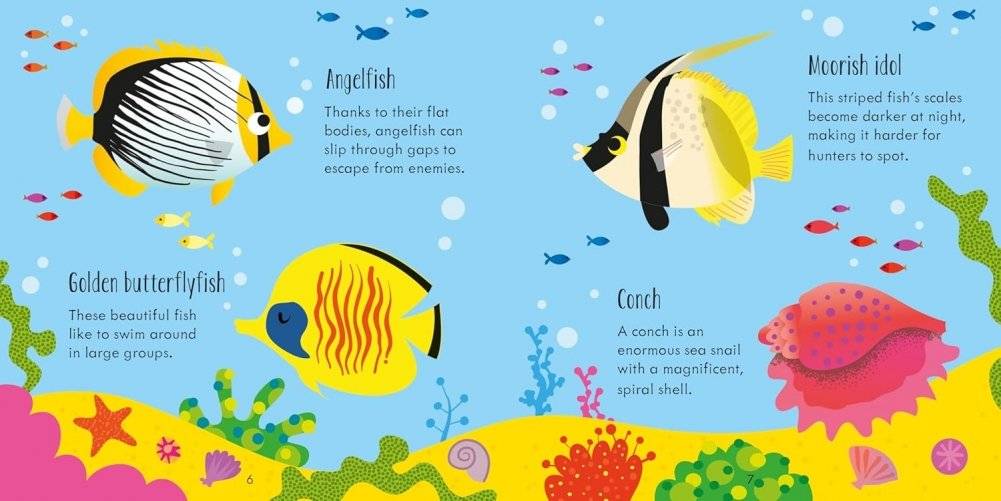 Under The Sea Matching Games And Book фото книги 4