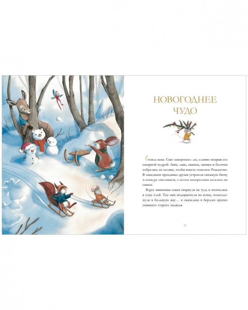 Дедушкины сказки на Новый год фото книги 2