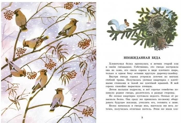 Белочка-хлопотунья фото книги 5