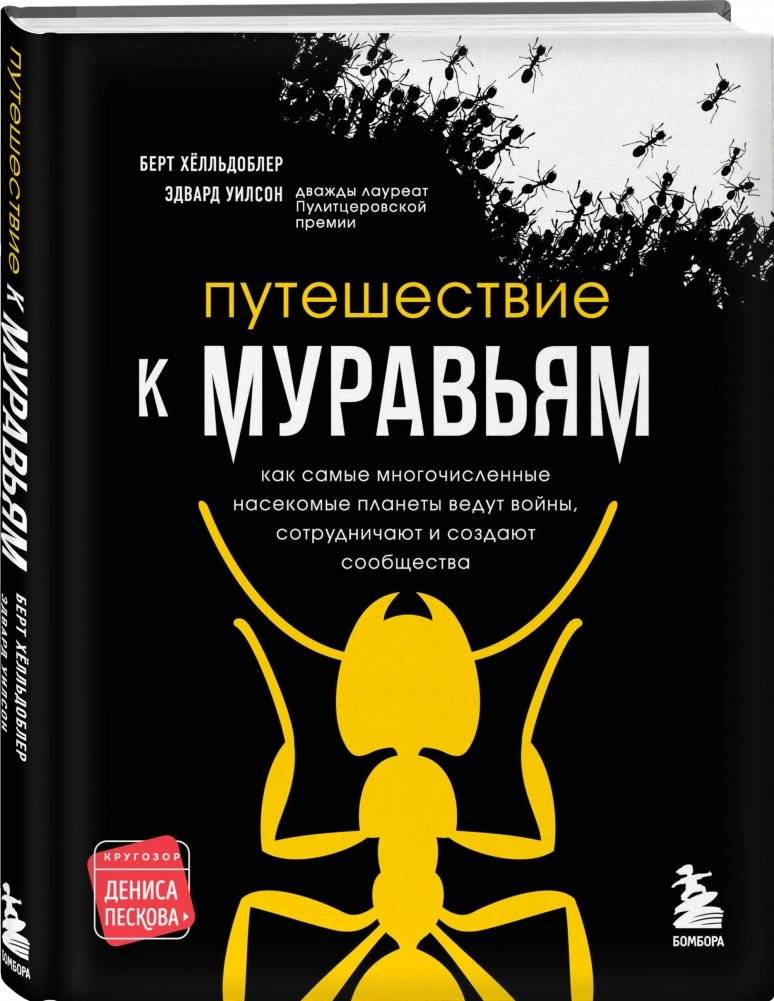 Путешествие к муравьям фото книги 2