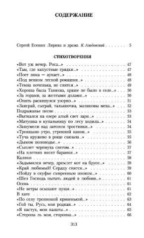 Не жалею, не зову, не плачу фото книги 2