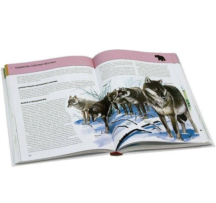 Животные. Полная энциклопедия фото книги 3