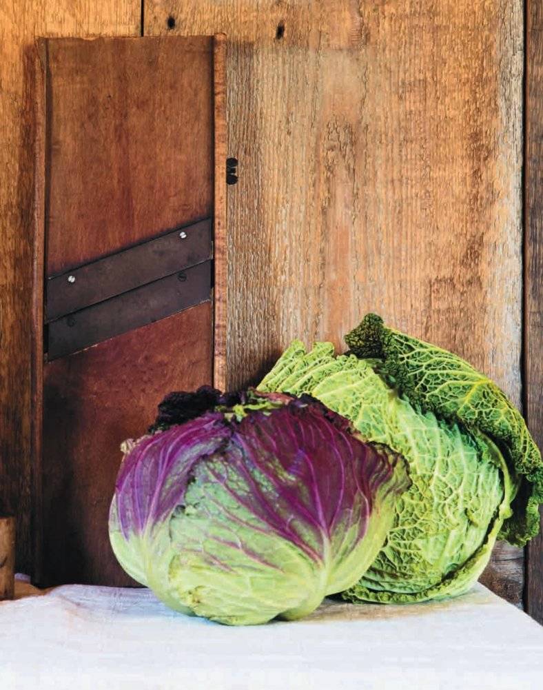 Натуральная ферментация: Оригинальные авторские рецепты квашения 64 овощей и фруктов фото книги 3