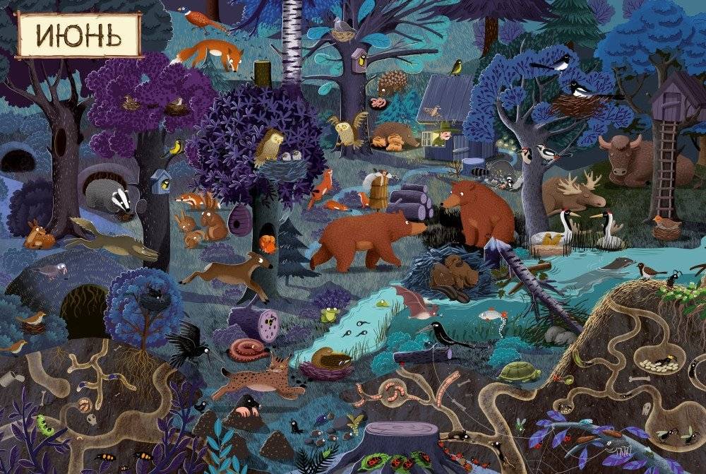 Год в лесу. Найди и покажи фото книги 4