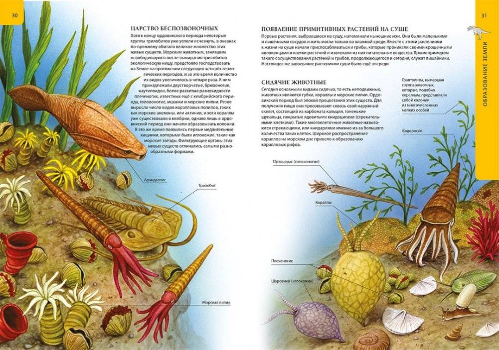 Большая детская энциклопедия динозавров фото книги 3