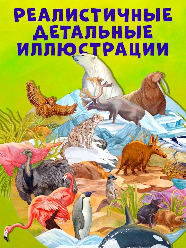 Где обитают животные? фото книги 4