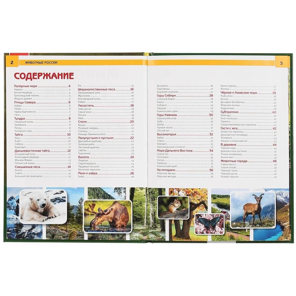 Животные России фото книги 2