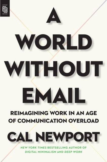 A World Without Email фото книги