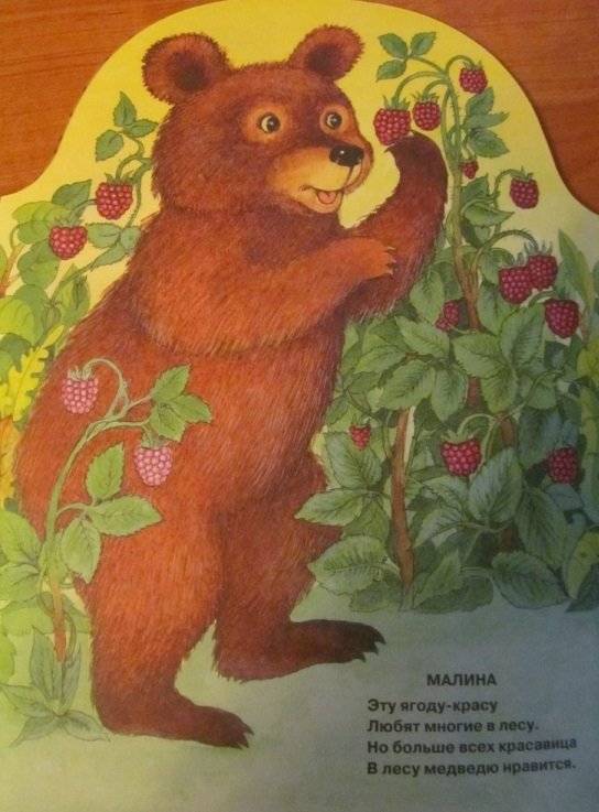 Что нам лето подарило? фото книги 6