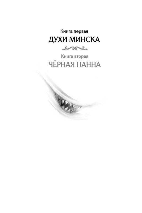 Агент призрака. Кн. 1. Духи Минска фото книги 2