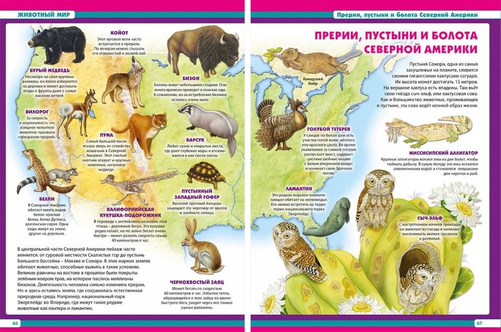 Новая энциклопедия для вашего почемучки фото книги 4