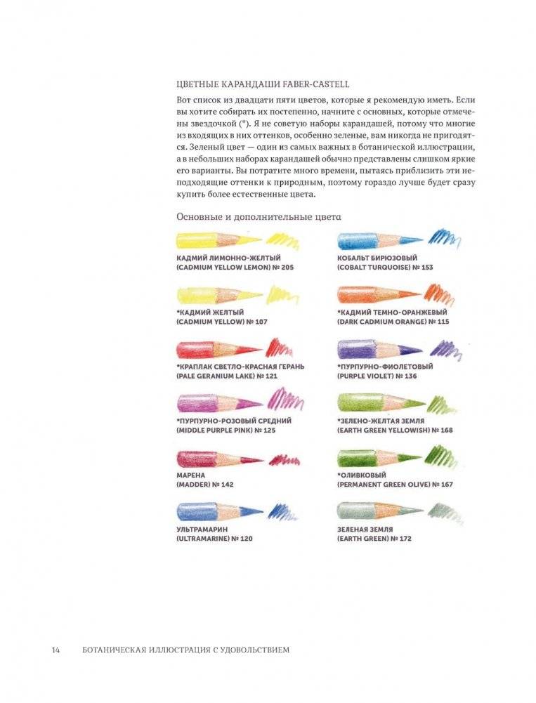 Ботаническая иллюстрация с удовольствием. Пошаговое руководство по изображению цветов, листьев, плодов и других элементов растений фото книги 12