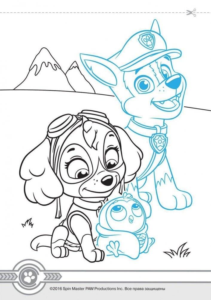 Щенячий патруль. Картинки-невидимки фото книги 3