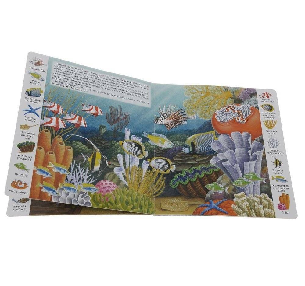 Животные и растения морей и океанов фото книги 2