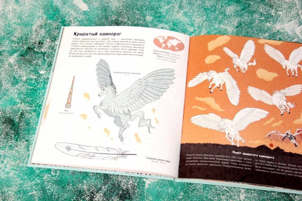 Волшебные единороги фото книги 3