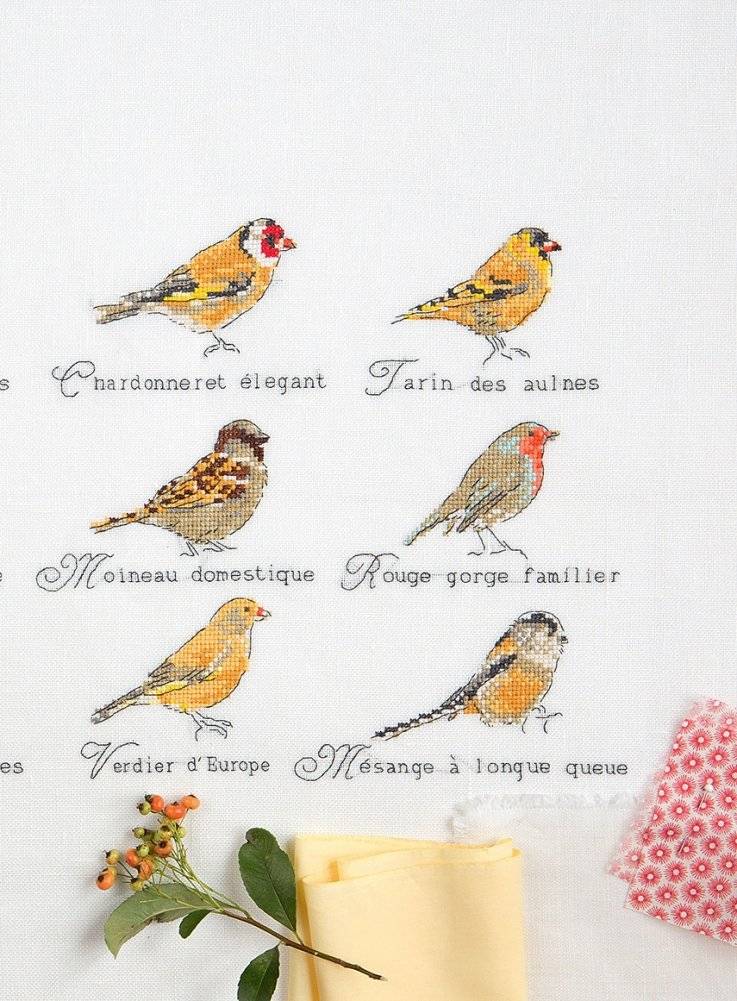 Тетрадь Леттерера. Прописи, шрифты, шаблоны для композиций фото книги 9