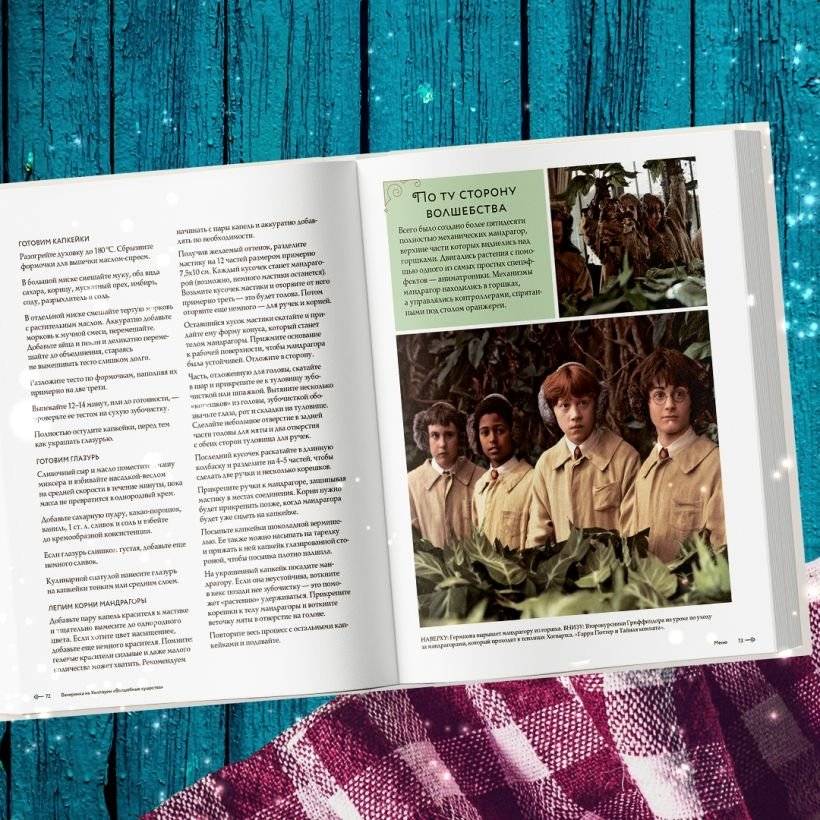 Гарри Поттер. Праздники и пиршества. Официальная книга по мотивам любимой киновселенной. фото книги 3