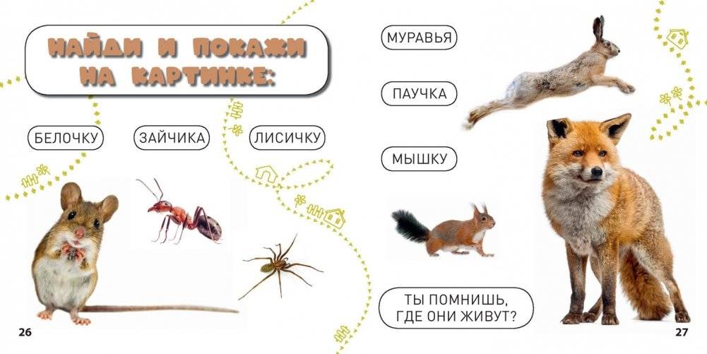 Кто где живёт? фото книги 6