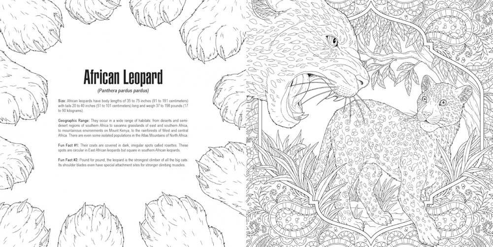 Cats: a Smithsonian Coloring Book фото книги 2