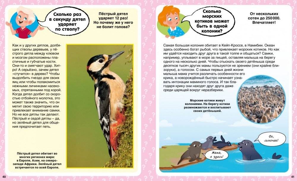 Сколько? 100 вопросов и ответов в картинках фото книги 6