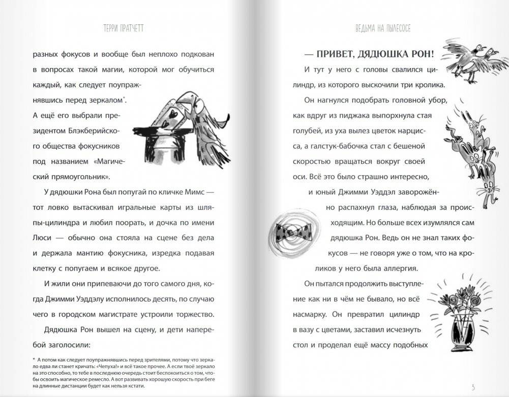 Ведьма на пылесосе фото книги 8