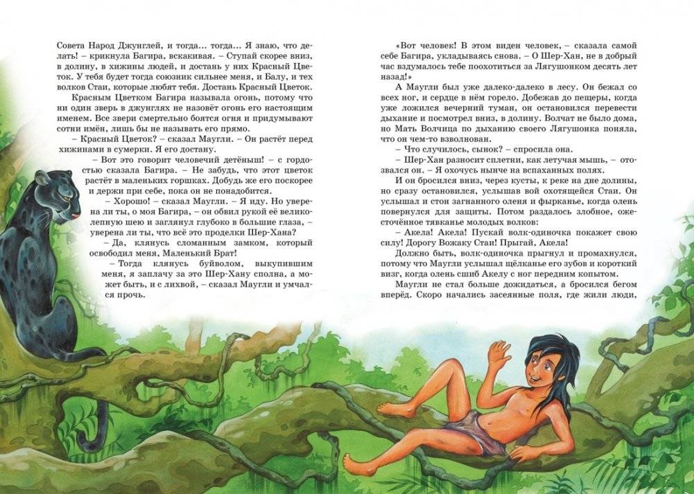 Маугли фото книги 6
