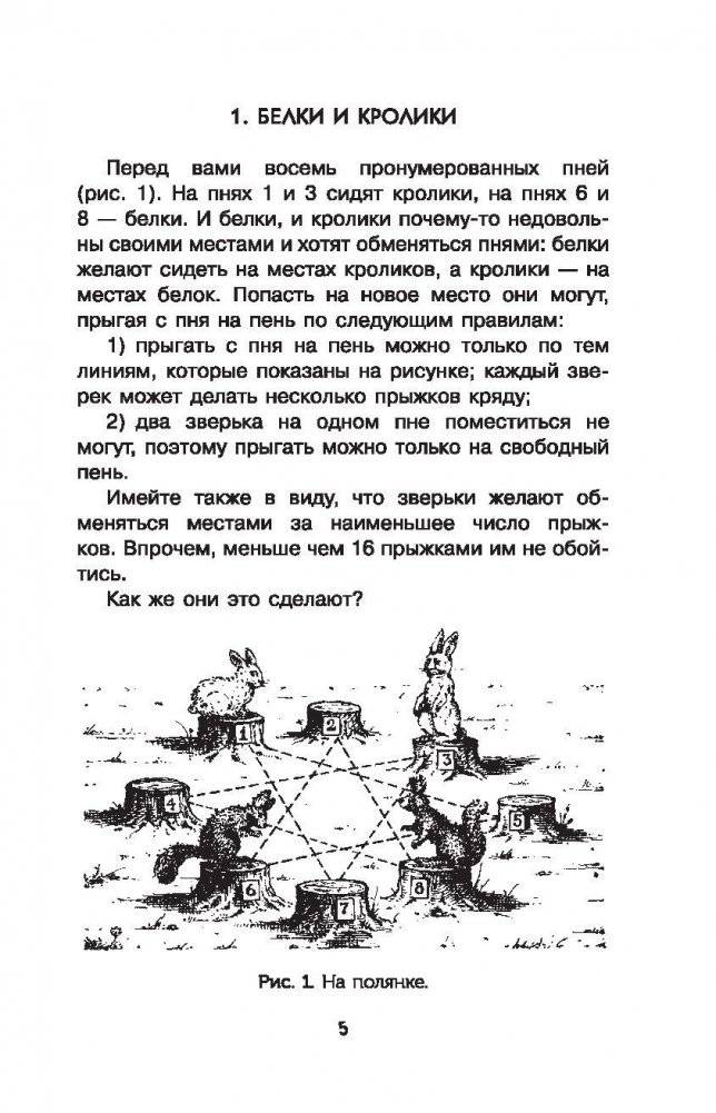 Головоломки и задачи фото книги 5