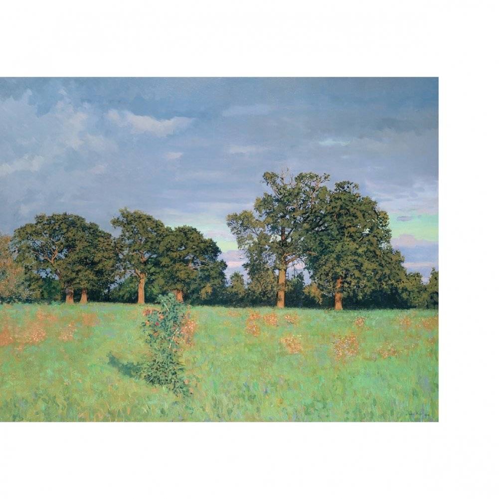 Семен Кожин фото книги 9