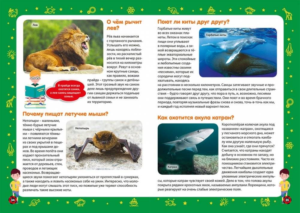 Детская энциклопедия в вопросах и ответах. Лучший подарок для мальчика фото книги 3