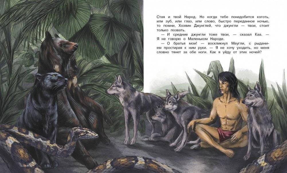 Маугли фото книги 5