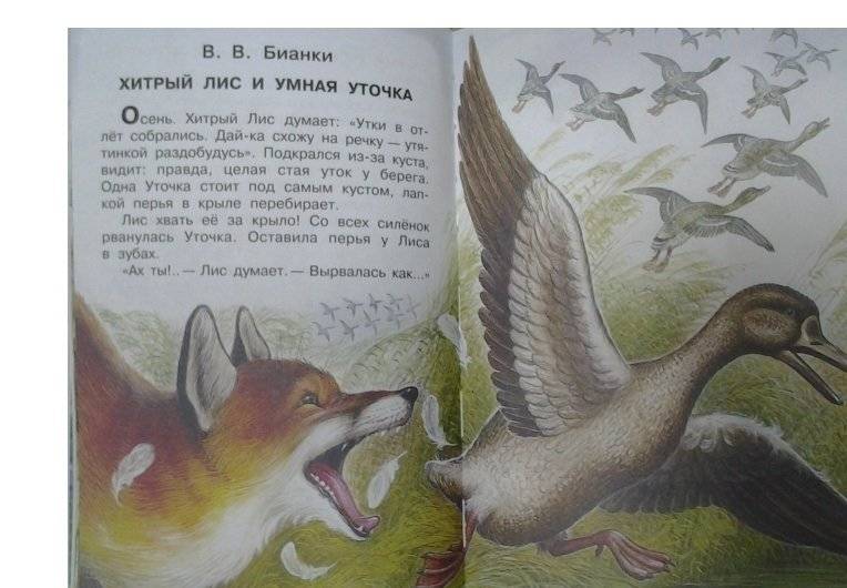 Все лучшие сказки русских писателей фото книги 2