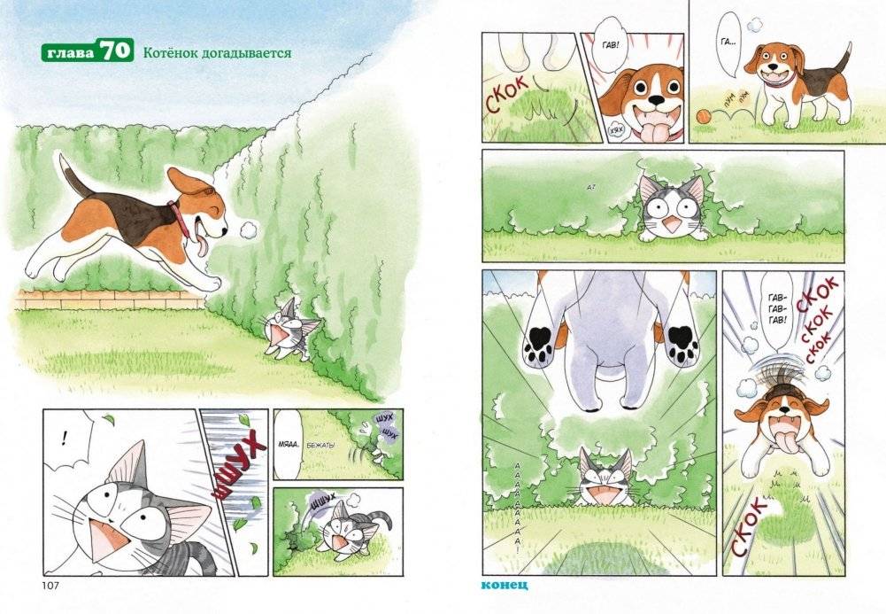 Милый дом Чи. Книга 4 фото книги 2