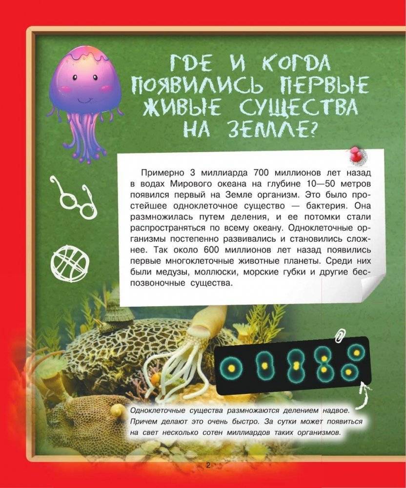 Детская энциклопедия в вопросах и ответах. Где? Когда? Как? фото книги 5