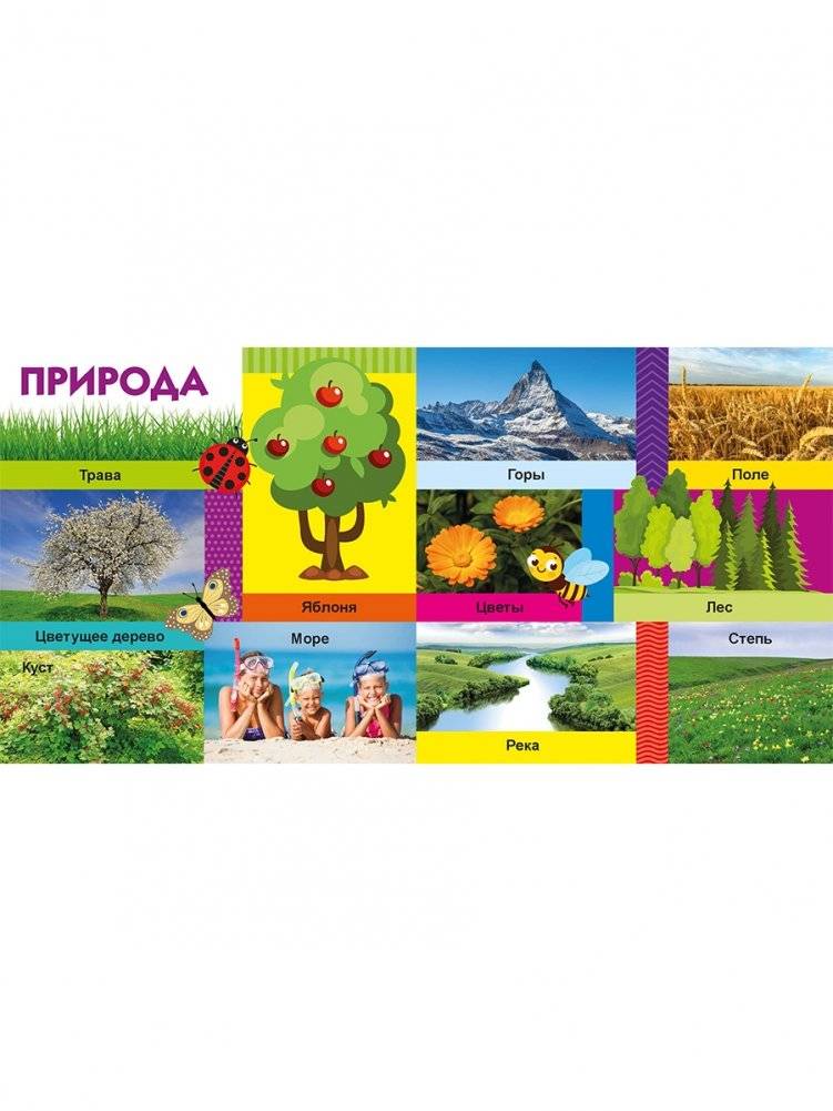 Твои любимые книжки. Мир вокруг тебя фото книги 3