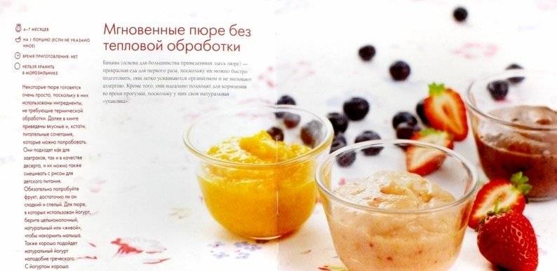 Быстро-пюре. Первый прикорм без забот фото книги 2