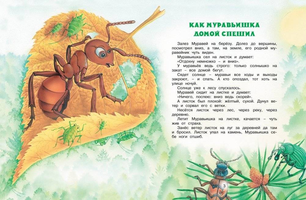 Как Муравьишка домой спешил. Сказки для малышей фото книги 2