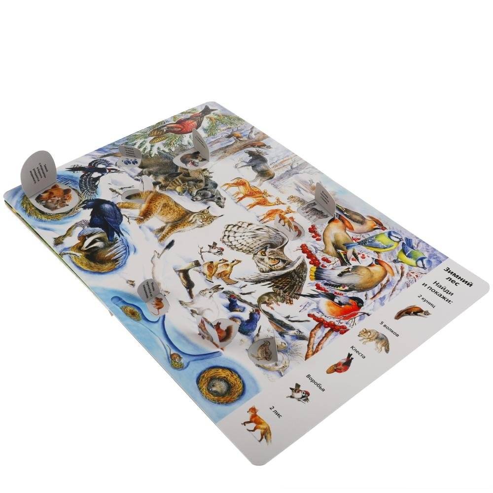 Развивающая книга с окошками "Виммельбух. Животные" фото книги 4