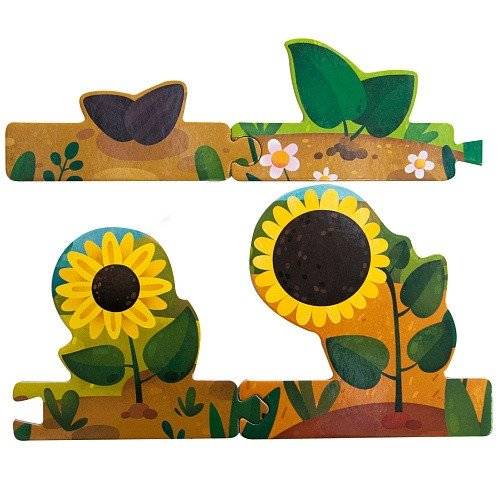 Как растет подсолнух фото книги 3