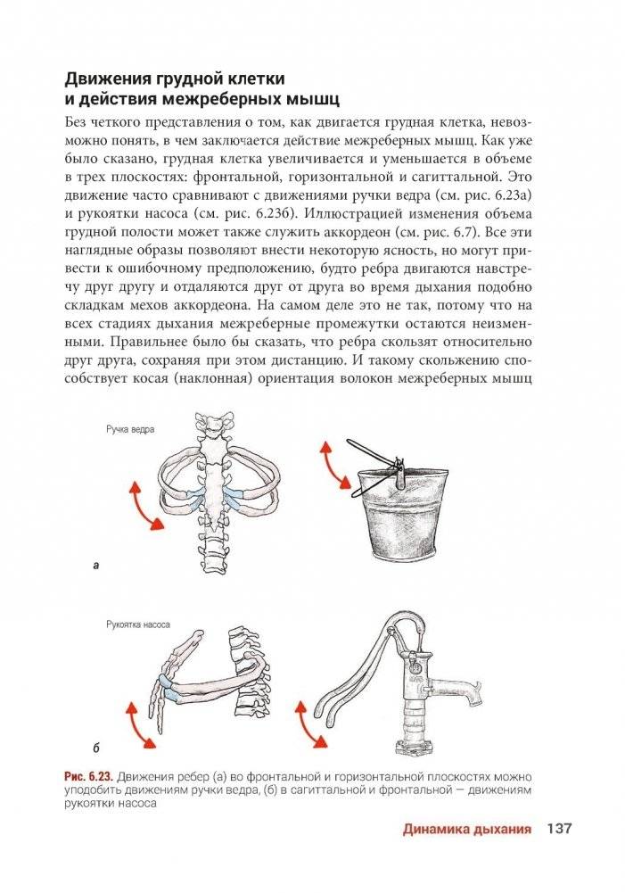 Анатомия йоги. Новейшая редакция фото книги 10