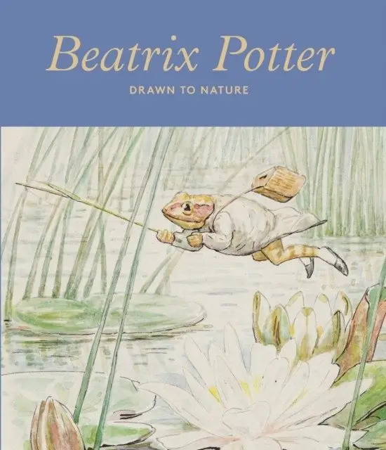 Beatrix Potter фото книги