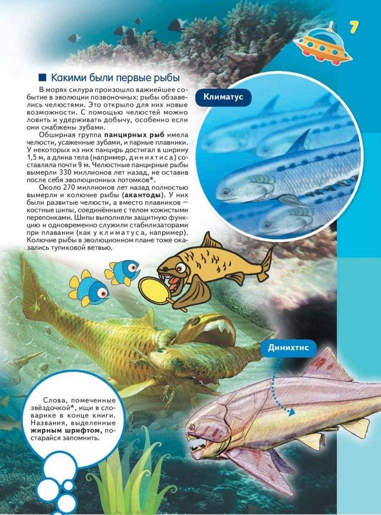 Эра динозавров фото книги 8