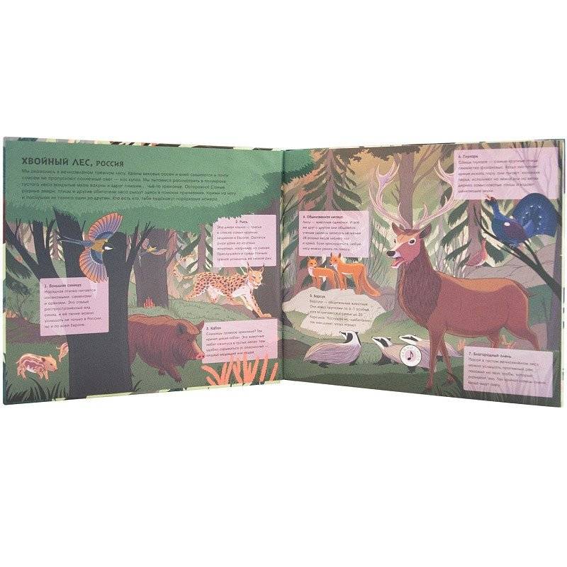 Звуки природы. Звери фото книги 2