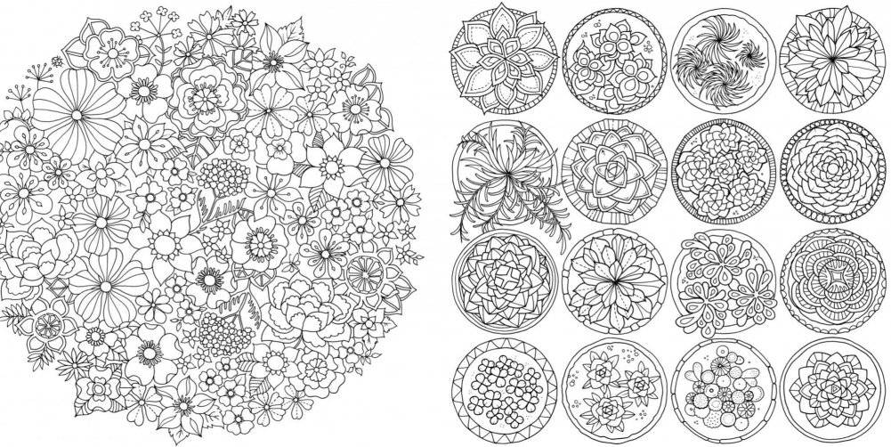 Мир цветов. Книга для творчества и вдохновения фото книги 3