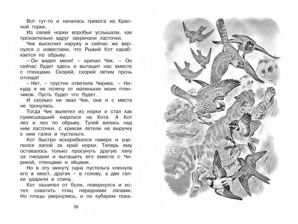 Как Лис Ежа перехитрил фото книги 6