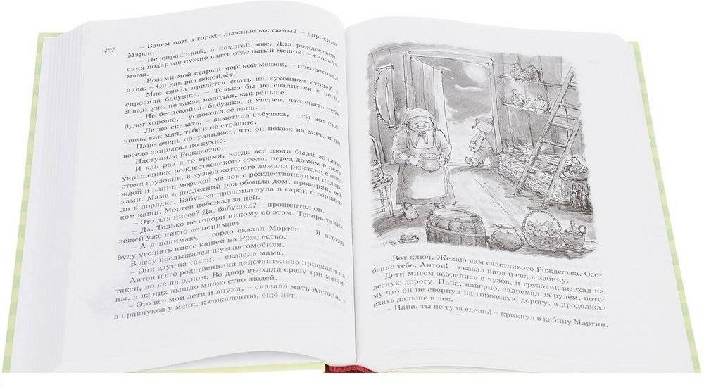 Всё о папе, маме, бабушке и 8 детях фото книги 5