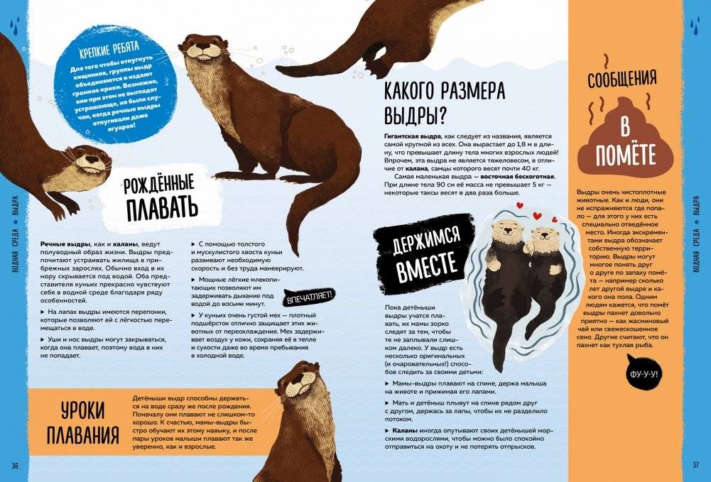 Мир вокруг тебя. Эти невероятные животные! фото книги 7