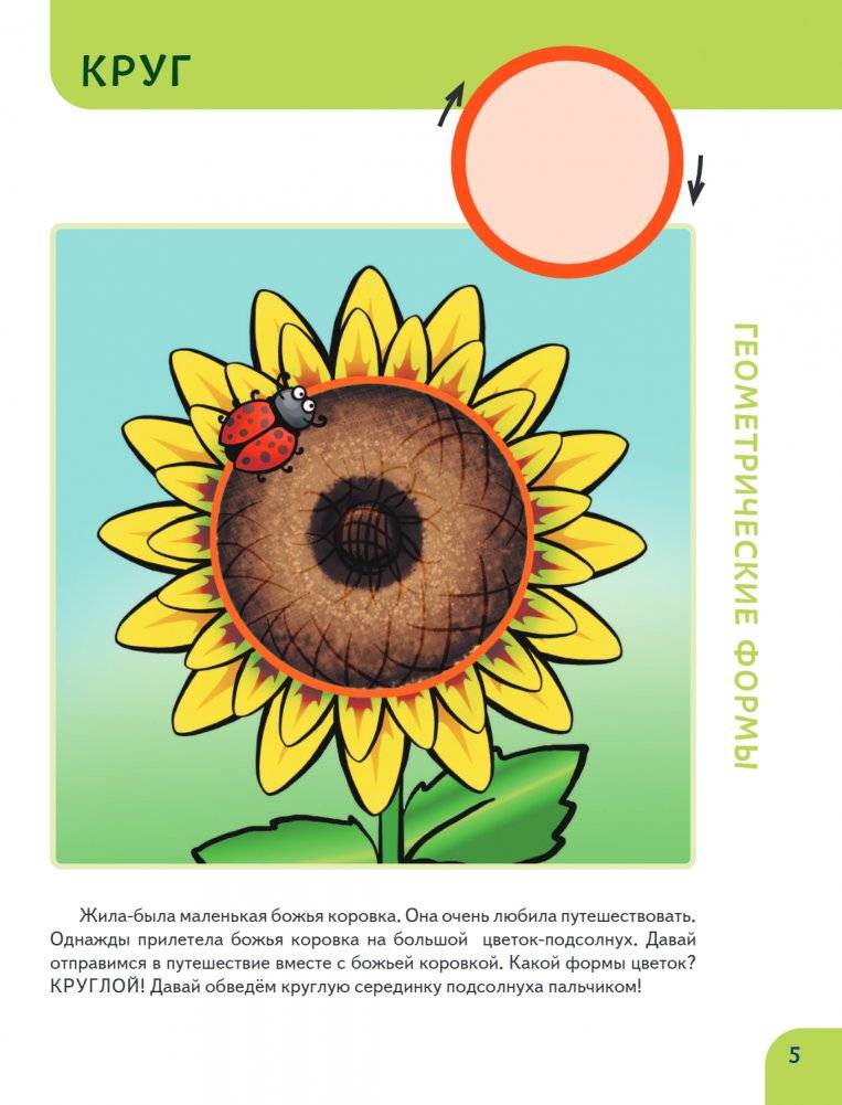 Основы математики. Первые занятия для малышей фото книги 4