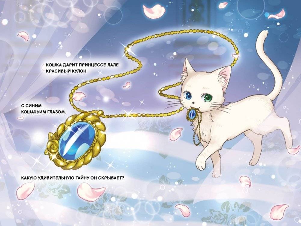 Апельсиновая кошка фото книги 2