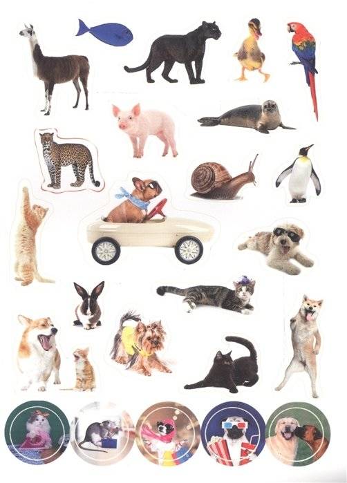 100 наклеек. Забавные животные фото книги 5